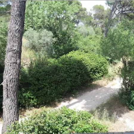 Typical House Near Avignon
